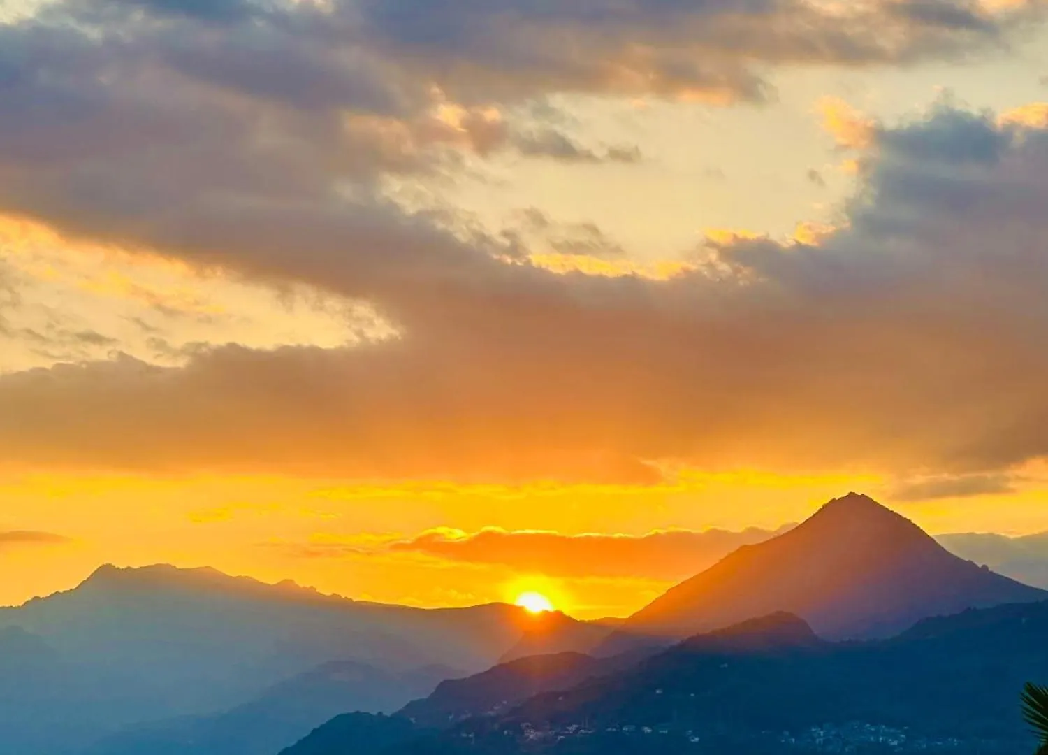 Le Palm House Has Two Bedrooms With The Breathtaking View Over Lake Como Perledo